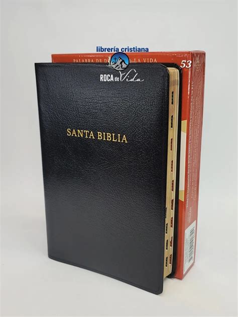 Biblia Bilingue RVR 1960 KJV Letra Grande 10 Puntos Piel Fabricada