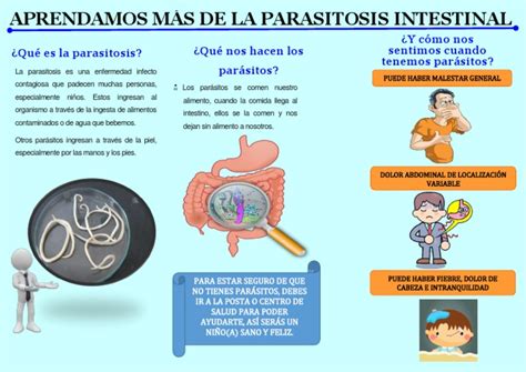 ¿qué Es La Parasitosis ¿qué Nos Hacen Los Parásitos ¿y Cómo Nos Sentimos Cuando Tenemos Parásitos