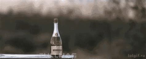 Champagne GIF - Champagne - Discover & Share GIFs