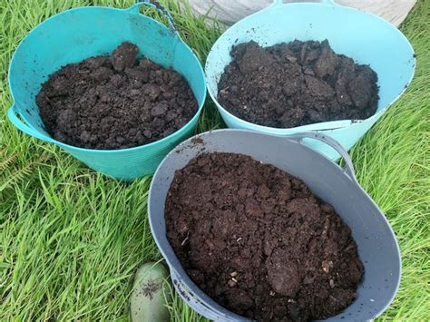 Leaf mould compost for sale - Waste Down - Good Natured Composting