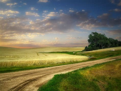 ESG University: The Land Of Milk And Mao Money - The Crude Life