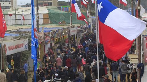 Cámara De Diputados Aprueba Y Despacha Al Senado Proyecto Que Declara