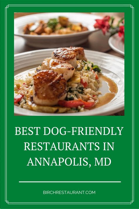 16 Best Dog-Friendly Restaurants in Annapolis, MD