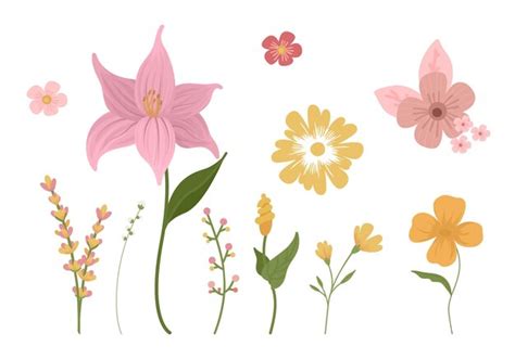 Conjunto De Flores Abstractas Dibujadas A Mano Vector Premium