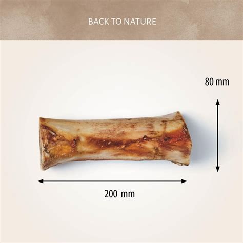 Marrow Bone Large Antos