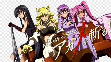 Akame ga matar anime fan art televisión ficción anime televisión