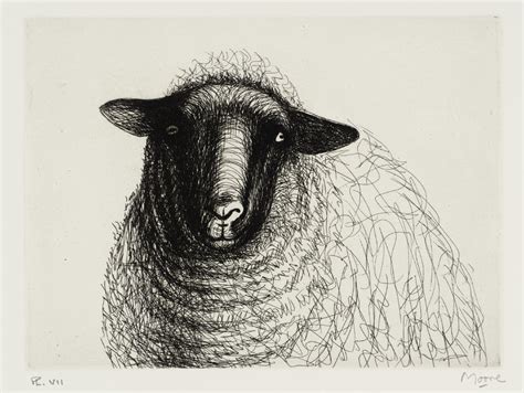 Sheep Head Drawing at GetDrawings | Free download