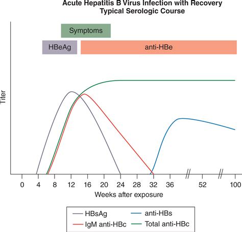 Hepatitis B Serology Graph