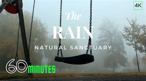 Sleep Instantly With Relaxing Rain Sound Natural Sanctuary 60