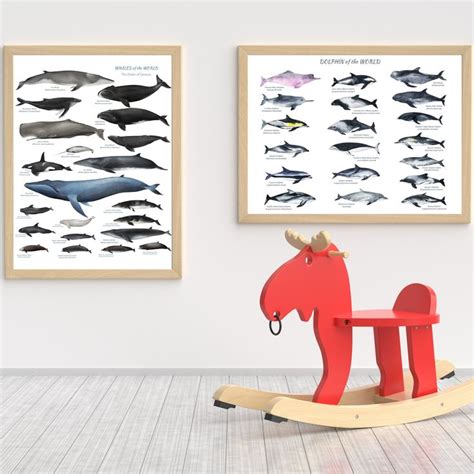 Printable Whales Of The World Wall Art With Mother Day S Gift