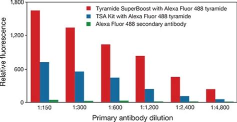 Superboost Kits With Alexa Fluor Tyramides For Signal Amplification