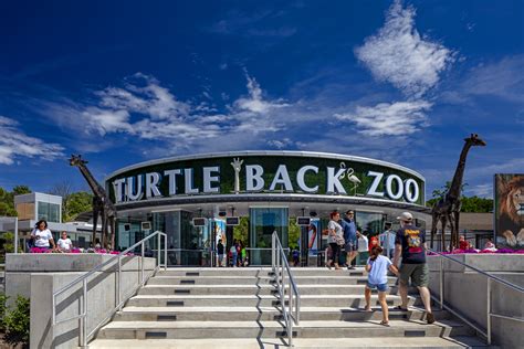 Turtle Back Zoo Entry – Comito Associates