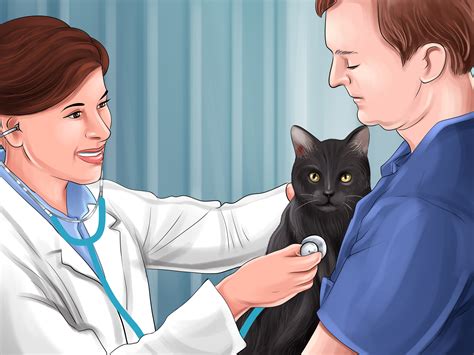 How to Treat a Poisoned Cat: 13 Steps (with Pictures) - wikiHow