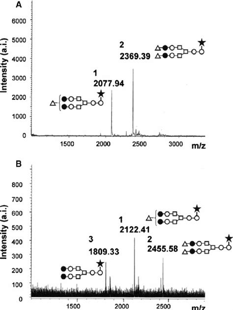 Maldi Tof Ms Spectra Of Oligosaccharides From N162 Shfc γ Riiia His