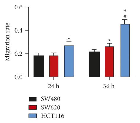 Impacts Of Hyal1 On Crc Cell Migration A Cell Scratch Assay B Download Scientific Diagram