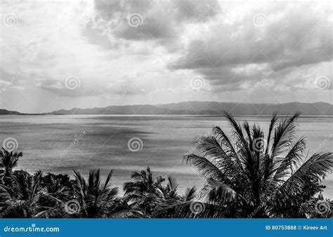 Coast Of The Tropical Island Black White Photo Stock Photo Image Of