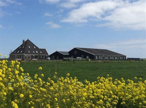 Zorgboerderij Ons Verlangen Lekker Samen Aan De Slag