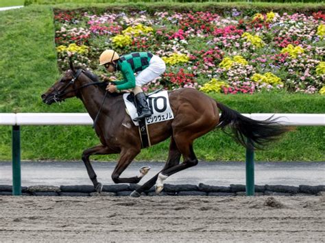 【福島6r新馬戦結果】ピンクヴェノムが人気に応えて逃げ切りv 競馬ニュース Netkeiba