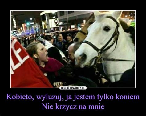 Kobieto Wyluzuj Ja Jestem Tylko Koniem Nie Krzycz Na Mnie