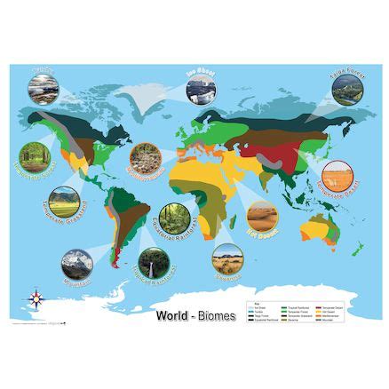 Biomes World Map | Biomes, World map design, Fun learning