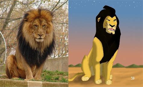 ahadi in real | Disney lion king, Lion king 2, Lion king