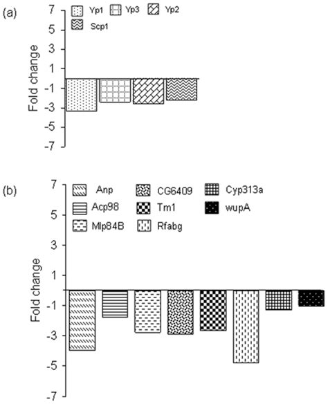 Validation Of Microarrays Using Rt Pcr Genes Were Either Upregulated