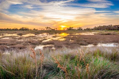 Lake Woodruff National Wildlife Refuge | National wildlife refuge ...