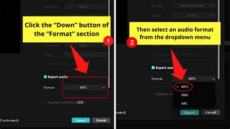 How To Extract Audio Separate Audio From Video In Capcut