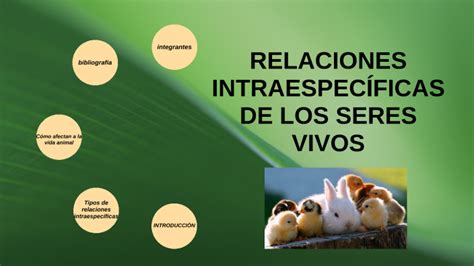 Relaciones Intraespecificas Relaciones Intraespecificas De Los Seres Vivosde Los Seres Vivos By