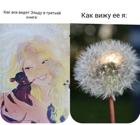 Тайны Чароводья. Мем | Мемы, Небольшие подарки, Книги