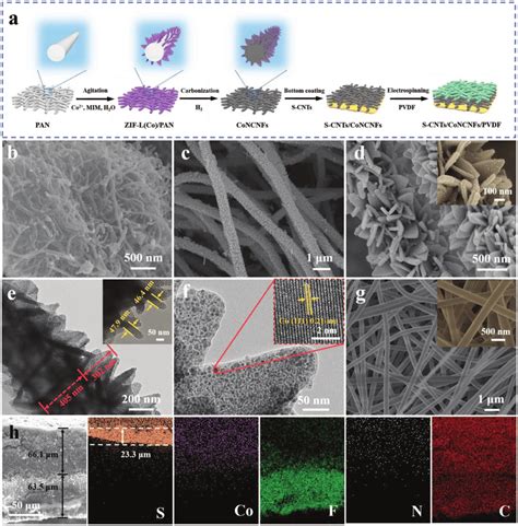 Preparation Process And Morphological Characterization A Schematic Download Scientific