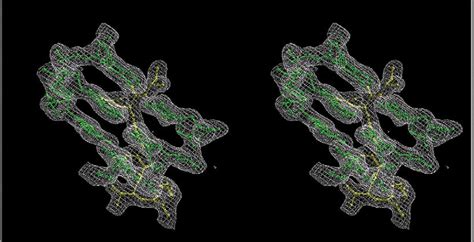 4 Stereo Drawing Of Electron Density Covering The Extended Chain Motif