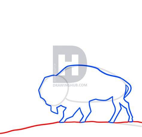 Buffalo Drawing Step By Step | Free download on ClipArtMag