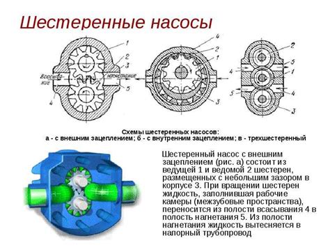 Типы масляных насосов: виды, устройство и принцип работы
