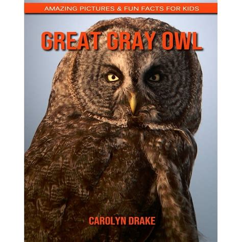 Great Gray Owl : Amazing Pictures & Fun Facts for Kids (Paperback ...