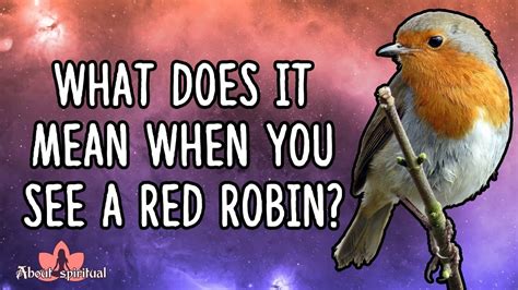 What Does It Mean When You See A Red Robin Youtube