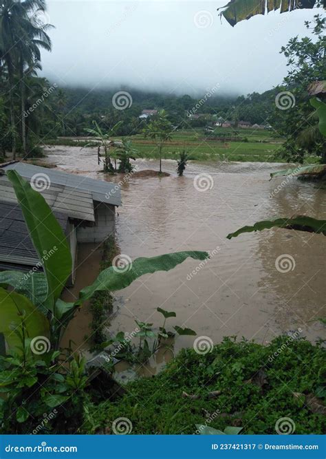 Flood after heavy raining stock image. Image of village - 237421317