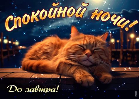 zabotlivaia otkrytka spokoinoi noci  zavtra otkrytki onlain
