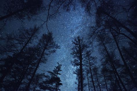 Starry Forest Wallpapers - Top Free Starry Forest Backgrounds ...