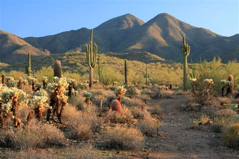 Battle of the Tonto Basin - Frontier Partisans