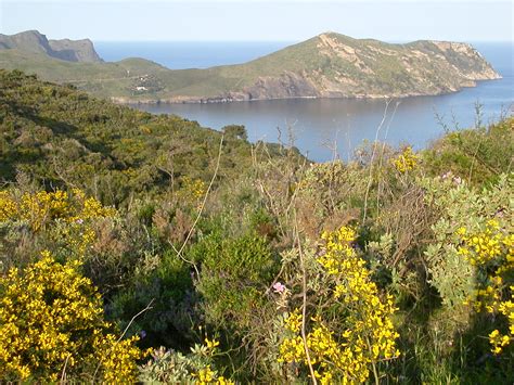 Parque Natural Del Cap De Creus • Empordà Turisme