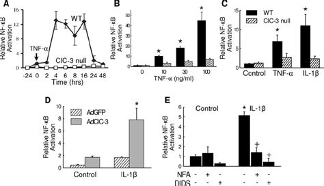 NF B Activation By IL 1 And TNF Requires ClC 3 NF B