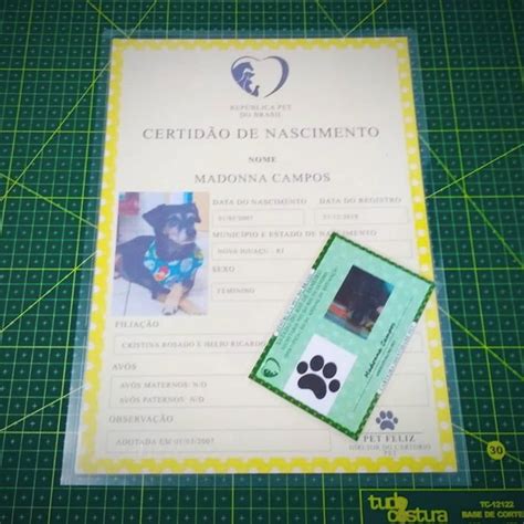 Kit Identidade Pet RG e Certidão de Nascimento Elo7