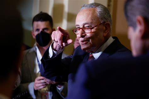 Los demócratas se entusiasman con poder aprobar la ley de matrimonio gay en el Senado Infobae