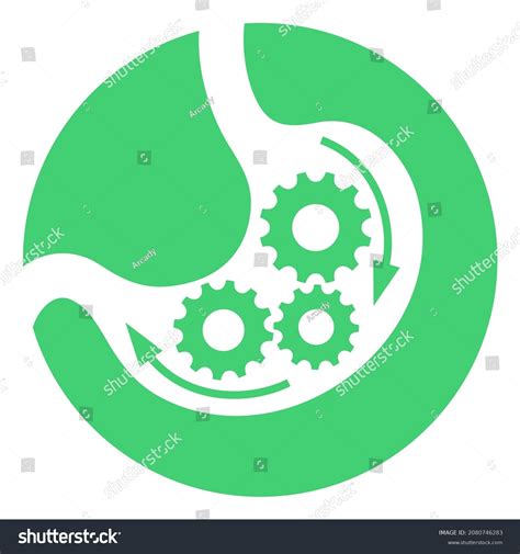 Good Healthy Digestion Icon Isolated On Stock Vector Royalty Free