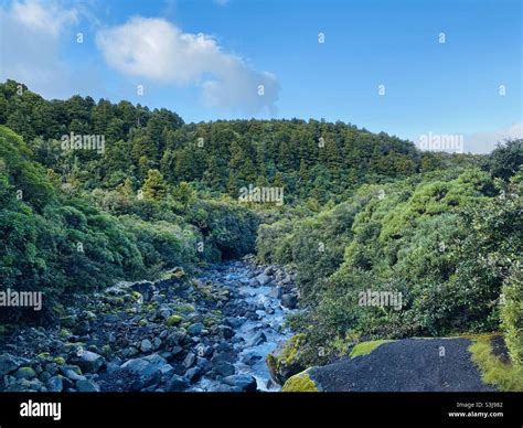 The Mount Egmont National Park , New Zealand Stock Photo - Alamy