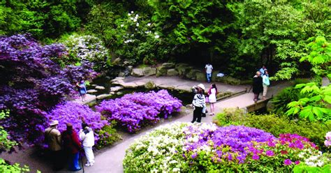 Crystal Springs Rhododendron Garden | Portland.gov