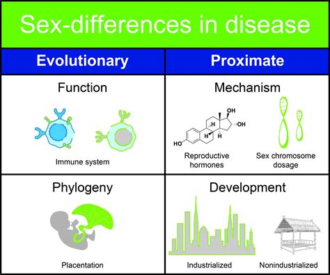 Sex Differences In Disease [image] Eurekalert Science News Releases