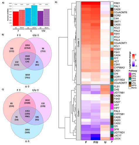 Genes Free Full Text Rnaseq Based Working Model For Transcriptional