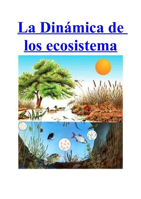 Dinamica De Los Ecosistemas Ecosistemas Auditkonten